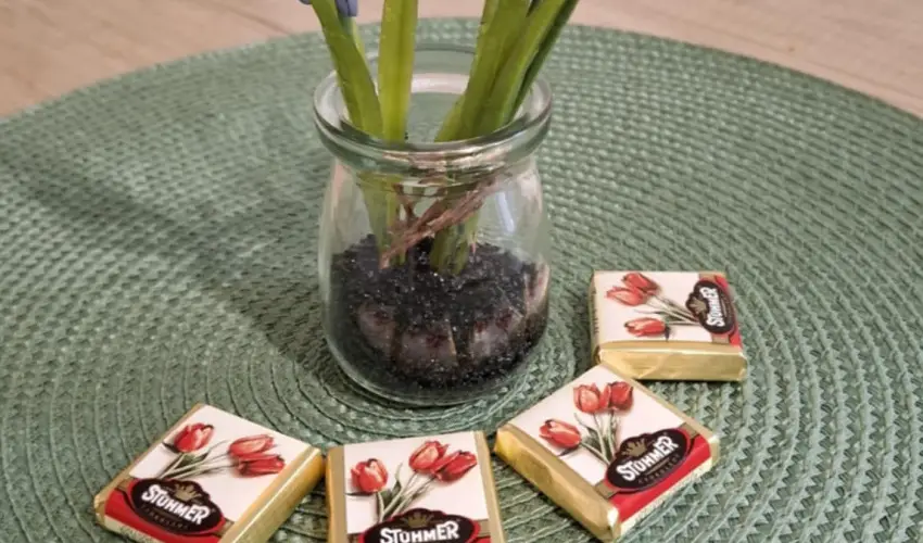 Pitypang Apartman Eger - Mjus 1. (min. 2 j)