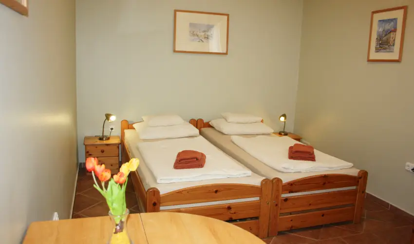 Plus Panzi Sopron - Mjus 1.