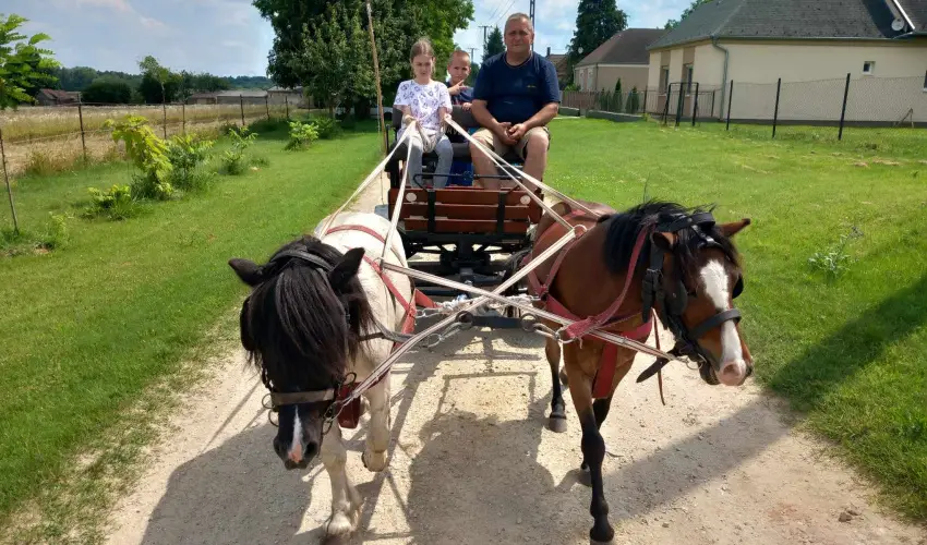 Pni Kuck Vendghz s Minifarm  Hosszvlgy - Mjus 1.