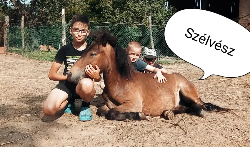 Pni Kuck Vendghz s Minifarm  Hosszvlgy - Mjus 1.