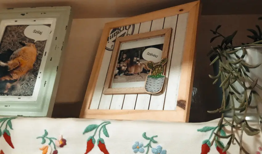 Pni Kuck Vendghz s Minifarm  Hosszvlgy - Mjus 1.