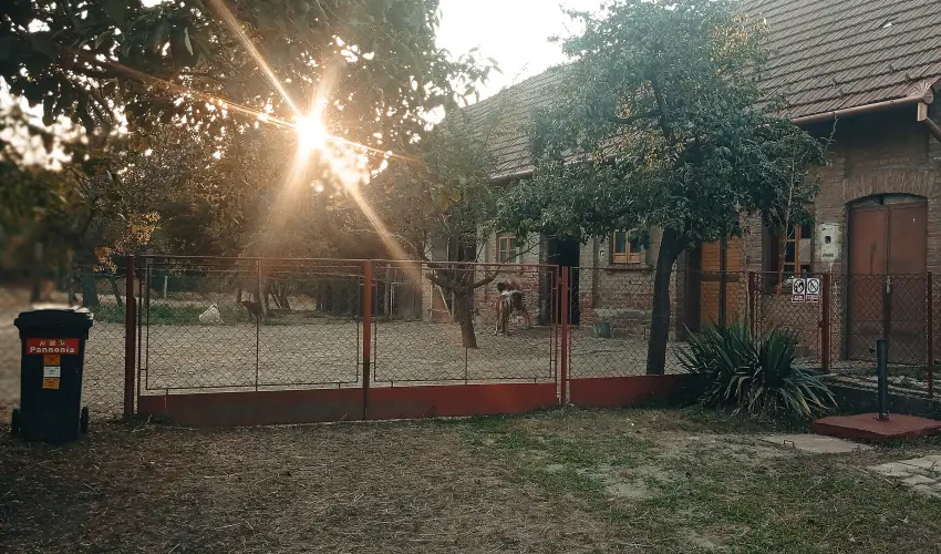 Pni Kuck Vendghz s Minifarm  Hosszvlgy - Mjus 1.