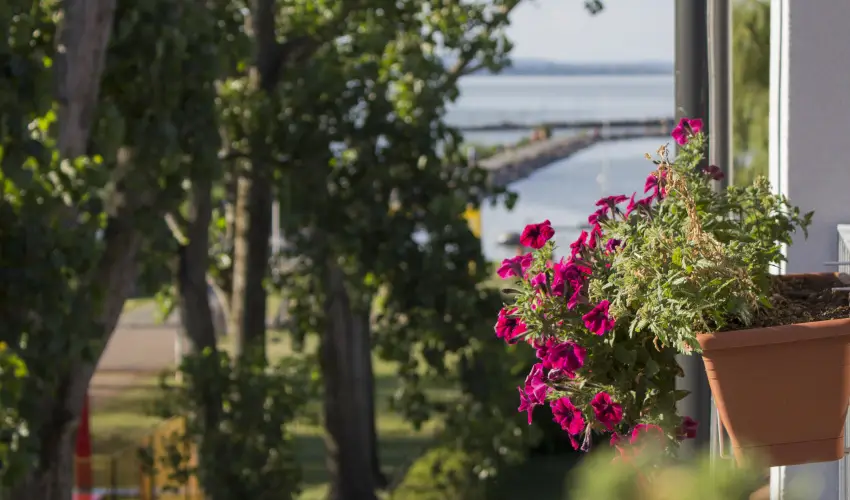 Port tterem & Panzi Balatonmriafrd - Mjus 1. - teljes elrefizetssel (min. 3 j)