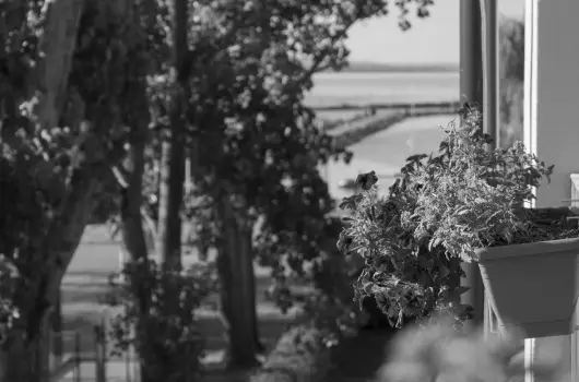 Port �tterem & Panzi� - M�jus 1. (min. 2 �j)