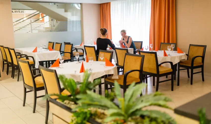 Harknyi Psoriasis Centrum Harkny - Mjus 1. (min. 2 j)