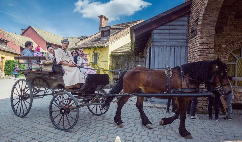 Puchner Kastlyszll Bikal - Mjus 1. (min. 2 j)