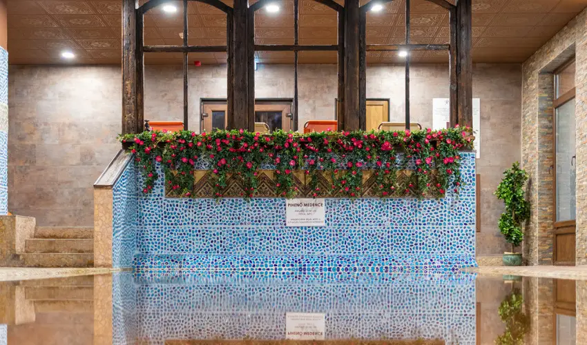 Puchner Kast�lysz�ll� Bikal - M�jus 1. (min. 2 �j)