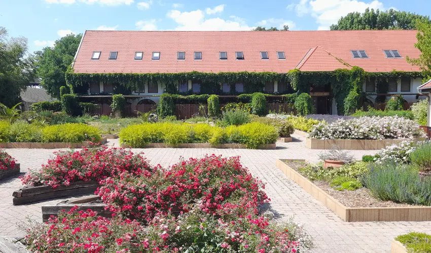 Puchner Kast�lysz�ll� Bikal - M�jus 1. (min. 2 �j)