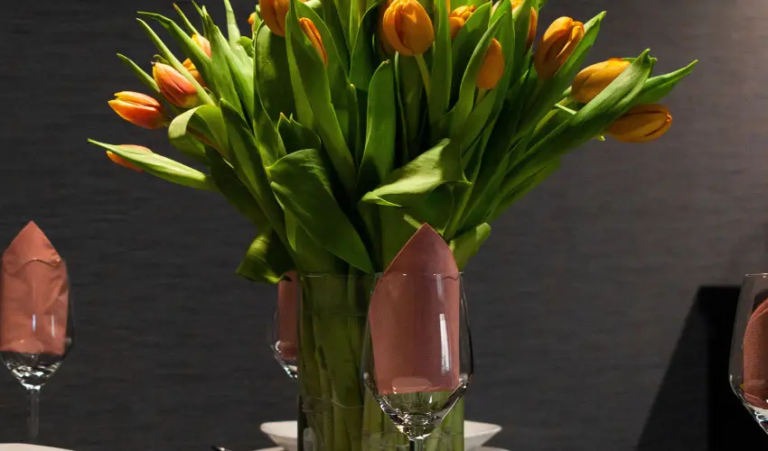 R31 Residence Srvr - Mjus 1. (min. 2 j)