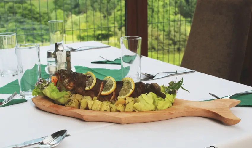 Rcz Tanya Orf - Mjus 1.