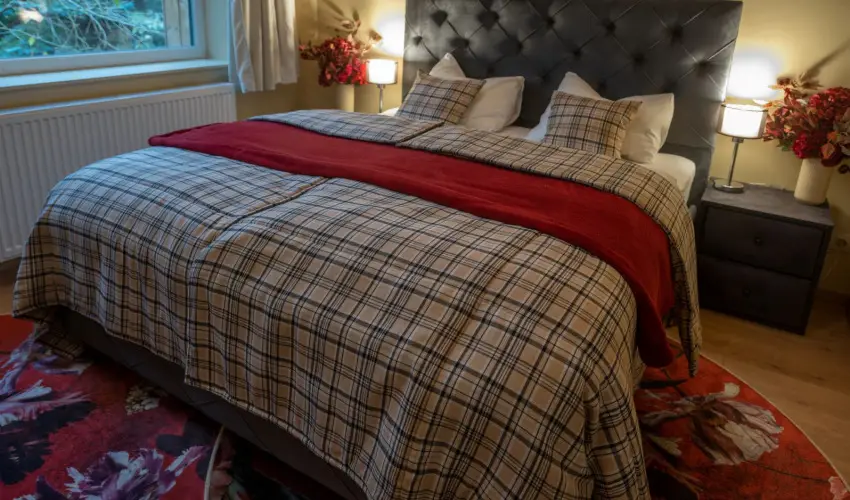 reBORONA Vendghz rsg riszentpter - Mjus 1. (min. 2 j)