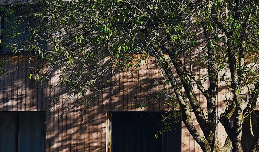 reBORONA Vendghz rsg riszentpter - Mjus 1. (min. 2 j)