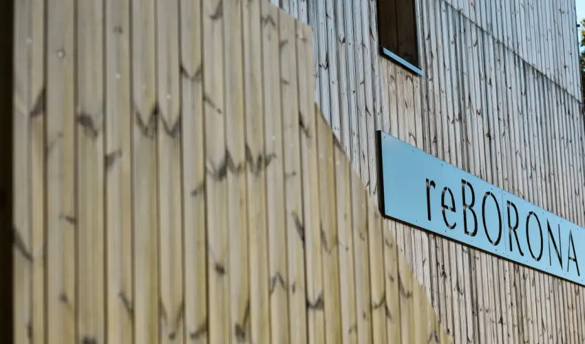 reBORONA Vendghz rsg riszentpter - Mjus 1. (min. 2 j)