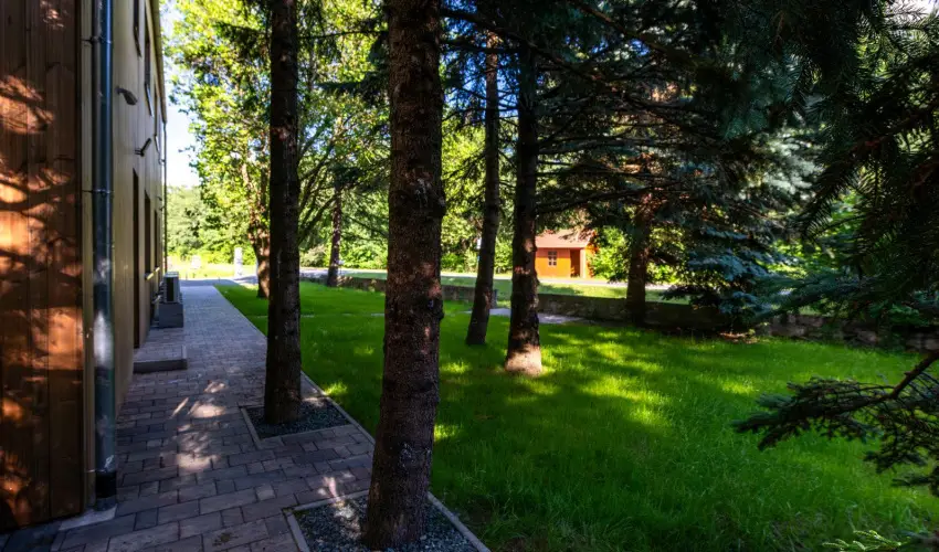 reBORONA Vendghz rsg riszentpter - Mjus 1. (min. 2 j)