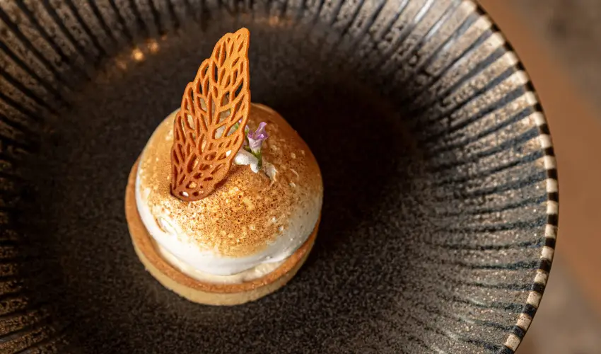 REED Luxury Hotel & Bistro Sifok - Mjus 1. (min. 2 j)