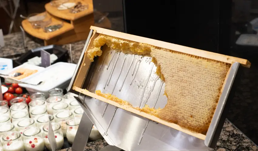 Lotus Therme Hotel & Spa Hvz - Mjus 1. (min. 3 j)