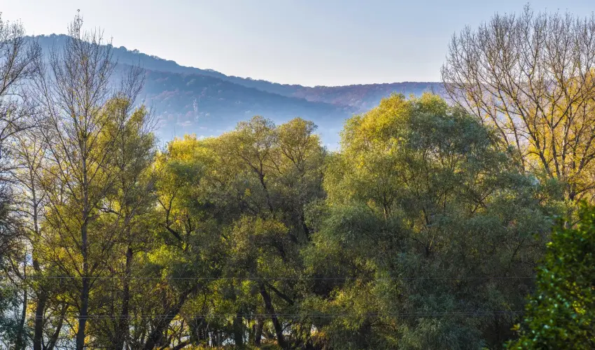 Royal Club Hotel Visegrd - Mjus 1. (min. 2 j)