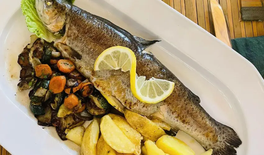 Sasrti Vadszkastly Almamellk - Mjus 1.