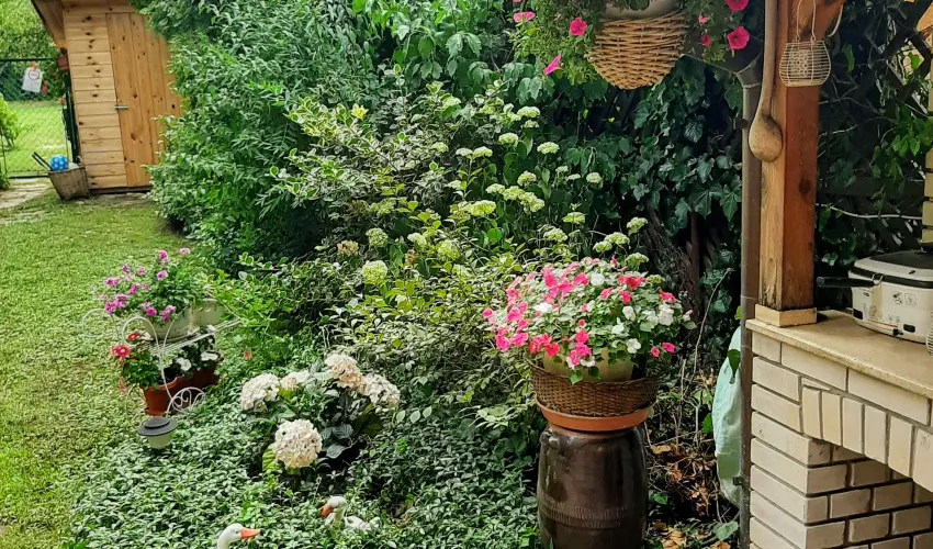 Siesta Vendghz Eger - Mjus 1. (min. 2 j)