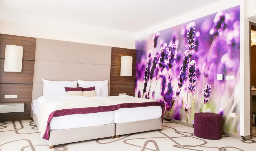 Ambient Hotel & ThermalSPA**** Sikonda - Mjus 1. (min. 2 j)