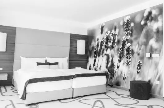 Ambient Hotel & ThermalSPA**** - Mjus 1.