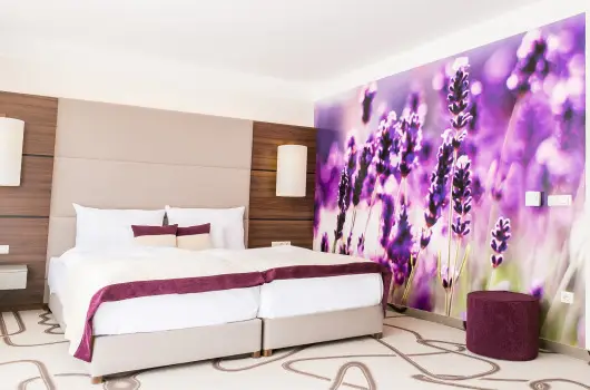 Ambient Hotel & ThermalSPA**** - Mjus 1.