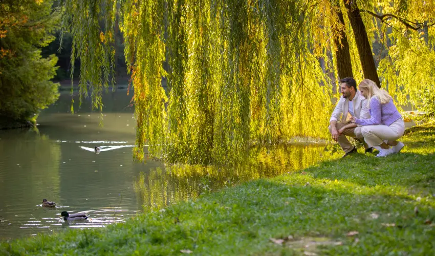 Ambient Hotel & ThermalSPA**** Sikonda - Mjus 1. (min. 2 j)