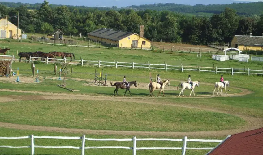 Sokor Fogad Sokorptka - Mjus 1.