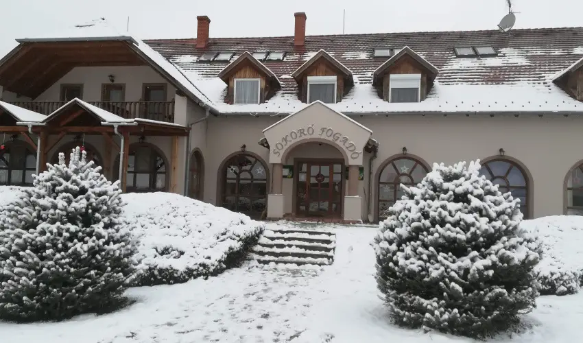 Sokor Fogad Sokorptka - Mjus 1.