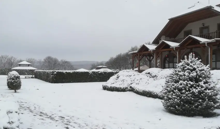 Sokor Fogad Sokorptka - Mjus 1.