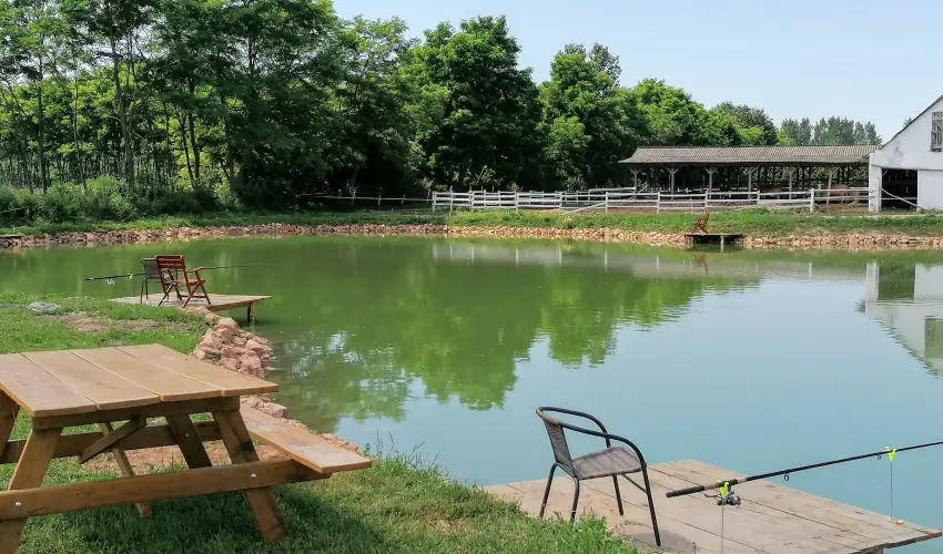 Sokor Fogad Sokorptka - Mjus 1.