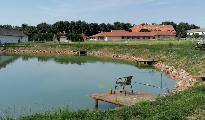 Sokor Fogad Sokorptka - Mjus 1.