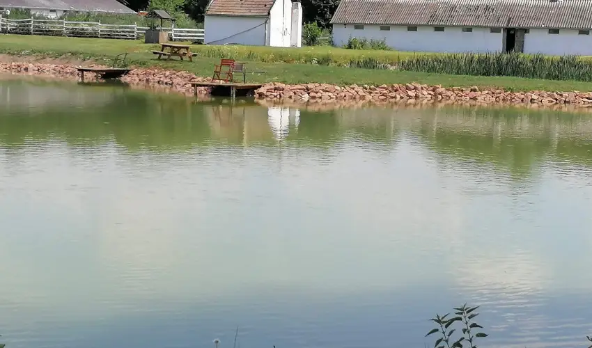 Sokor Fogad Sokorptka - Mjus 1.