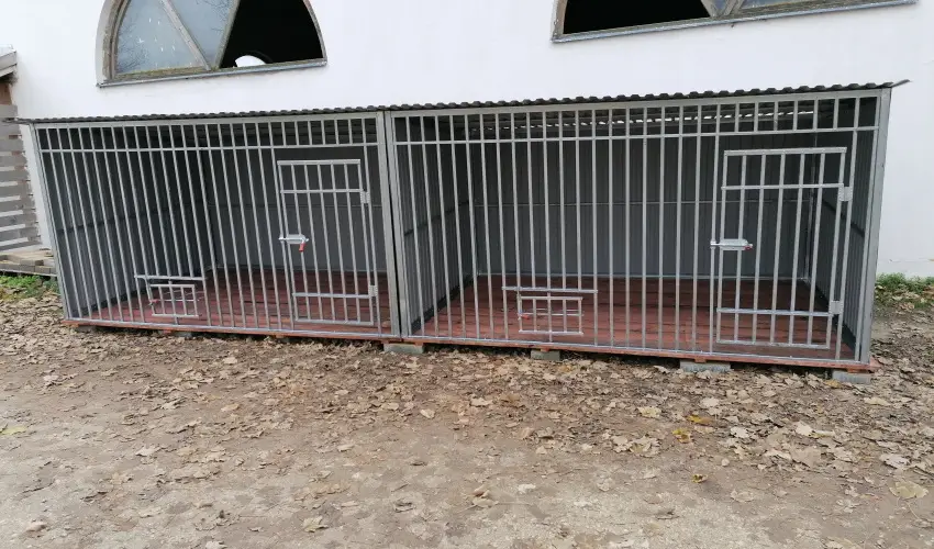 Sokor Fogad Sokorptka - Mjus 1.