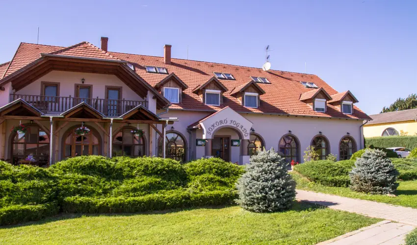 Sokor Fogad Sokorptka - Mjus 1.