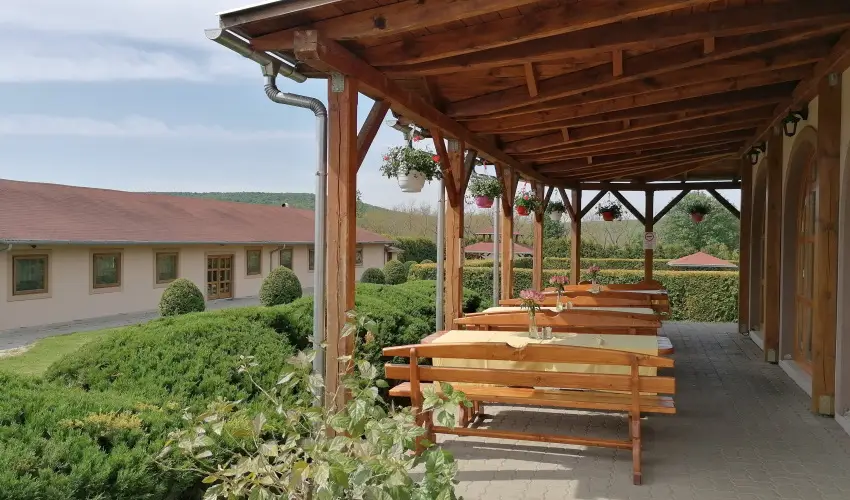 Sokor Fogad Sokorptka - Mjus 1.