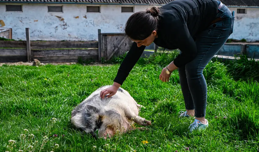 Sokor� Fogad� Sokor�p�tka - M�jus 1.