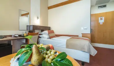 Hotel Spa H�v�z H�v�z