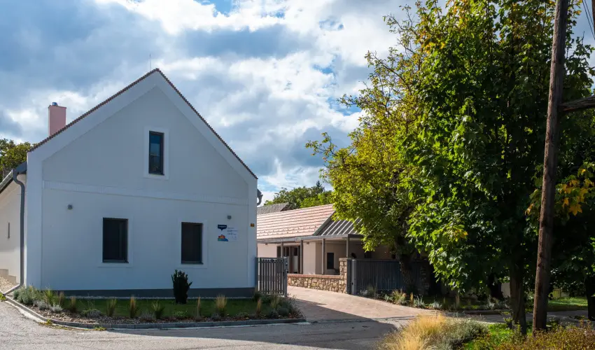 Stadium Home Panzi Barnag - Mjus 1. (min. 2 j)