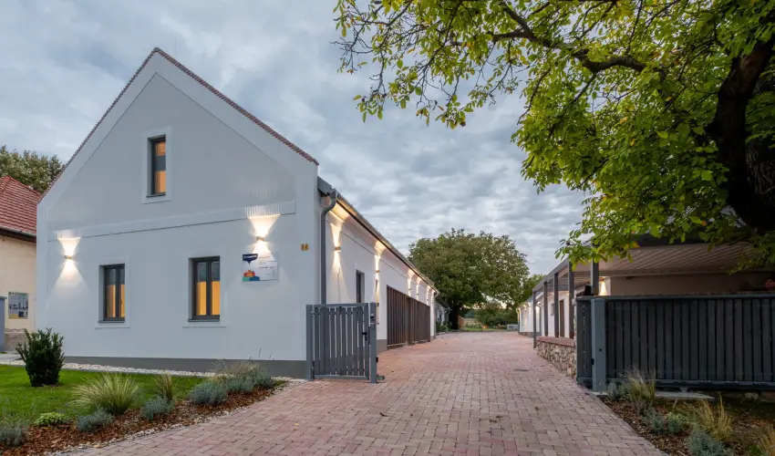 Stadium Home Panzi Barnag - Mjus 1. (min. 2 j)