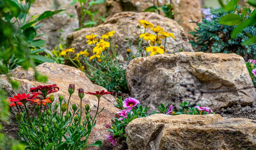 SunGarden Wellness Hotel Sifok - Mjus 1. (min. 2 j)