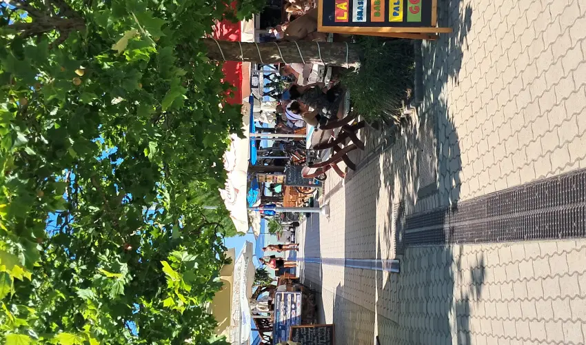 Sunshine Vendghz Balatonfenyves - Mjus 1. (min. 2 j)