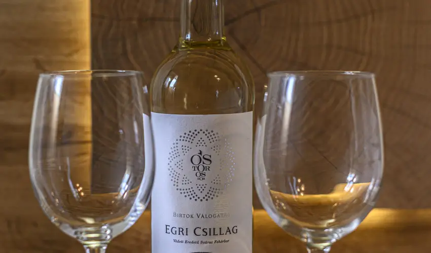 Sweet-Life Wellness Apartman Egerszal�k - M�jus 1.