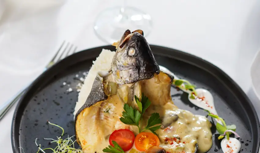 Szalajka Fogad� Szilv�sv�rad - M�jus 1.