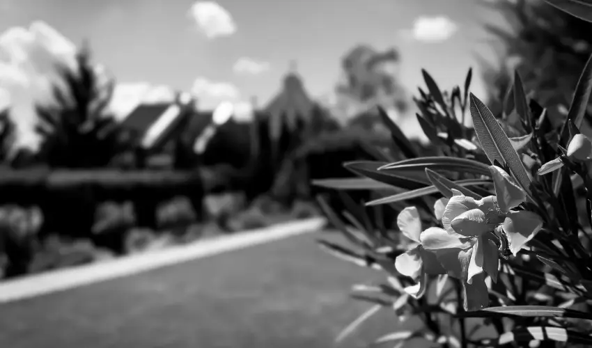 Szent Istv�n Hotel Eger - M�jus 1. (min. 2 �j)