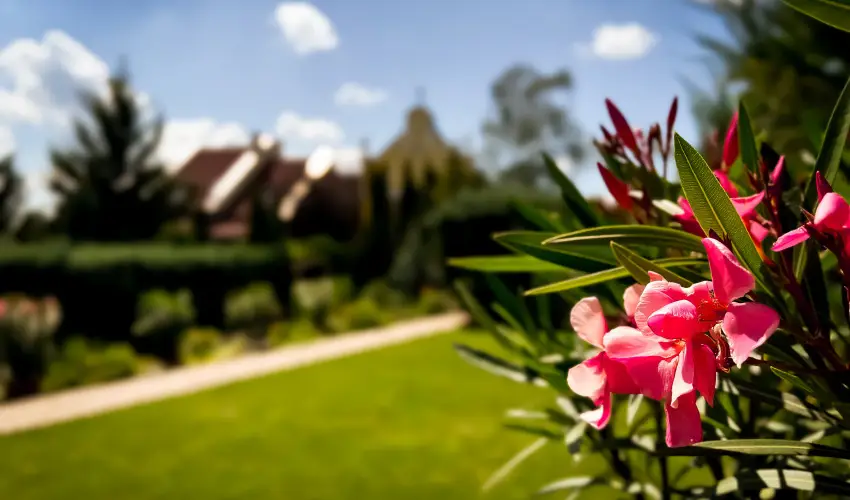 Szent Istvn Hotel Eger - Mjus 1.