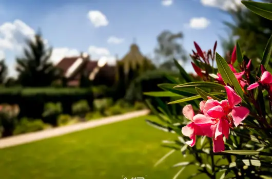 Szent Istv�n Hotel - Szenz�ci�s Maj�lis 37% kedvezm�nnyel (min. 2 �j) 