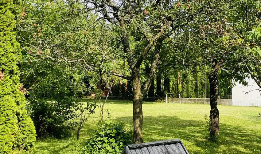 Szilv�sv�rad Camping & Apartman Szilv�sv�rad - M�jus 1.