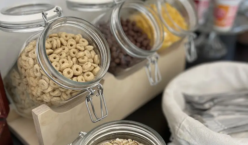 Svirg Terml Panzi Hajdnns - Mjus 1.