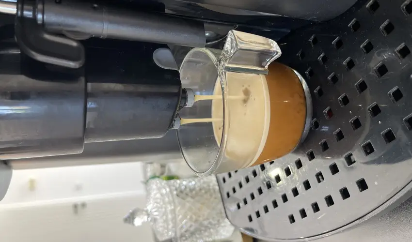 Svirg Terml Panzi Hajdnns - Mjus 1.